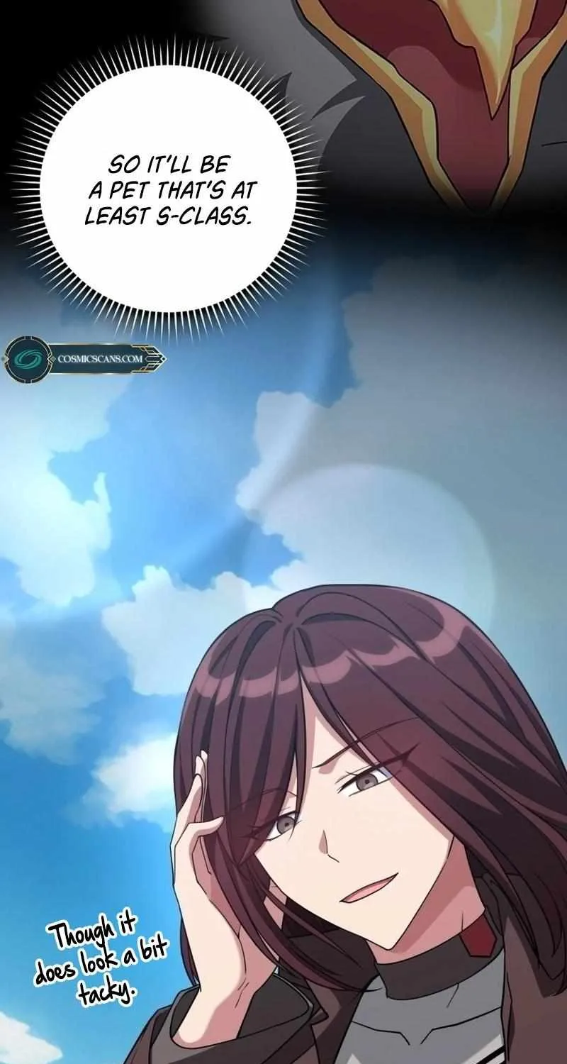 Max Level Player Chapter 40 page 16 - 