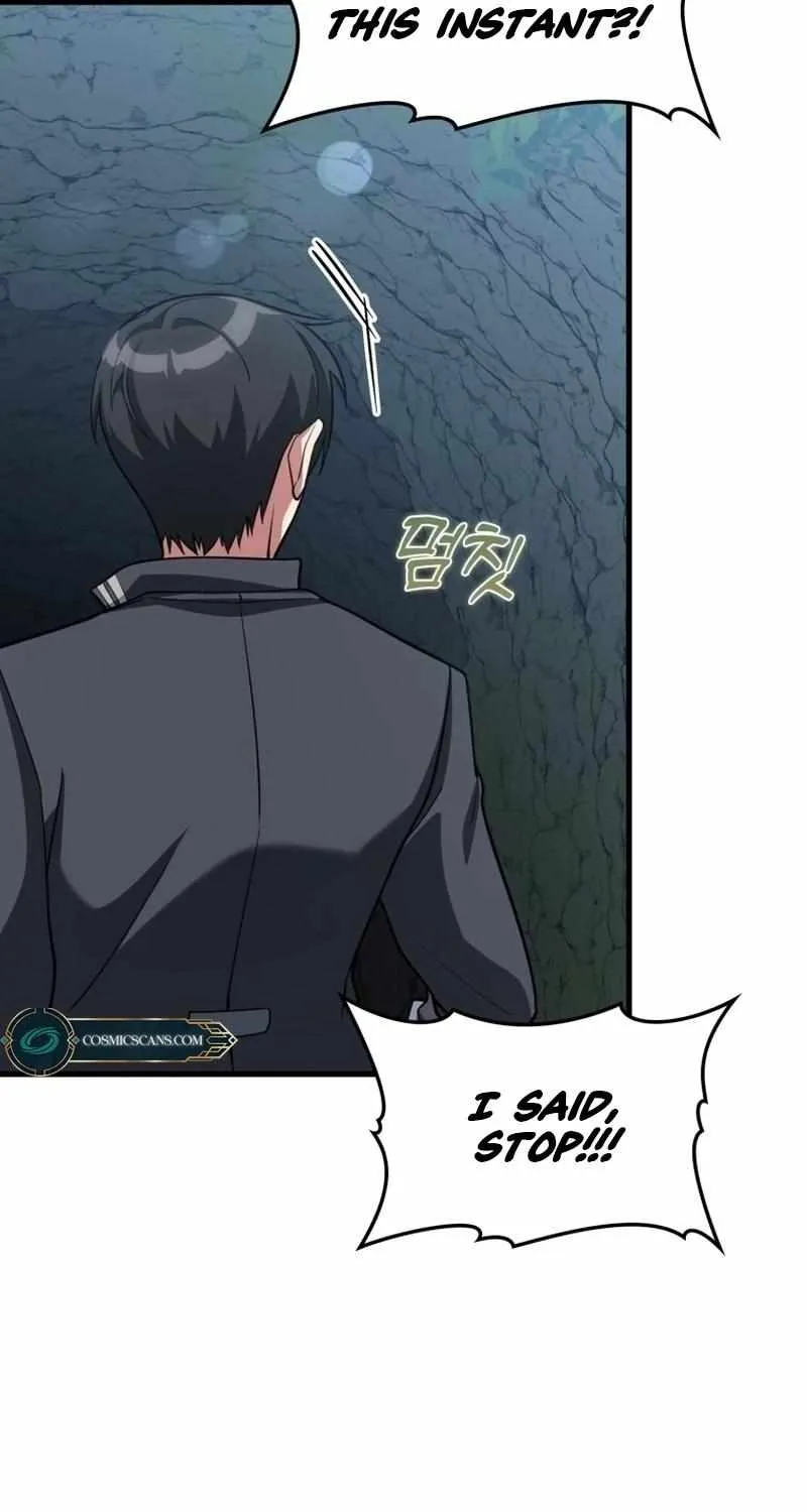 Max Level Player Chapter 40 page 25 - 