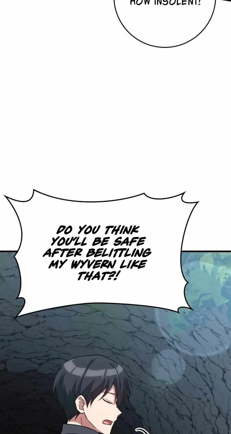 Max Level Player Chapter 40 page 29 - 