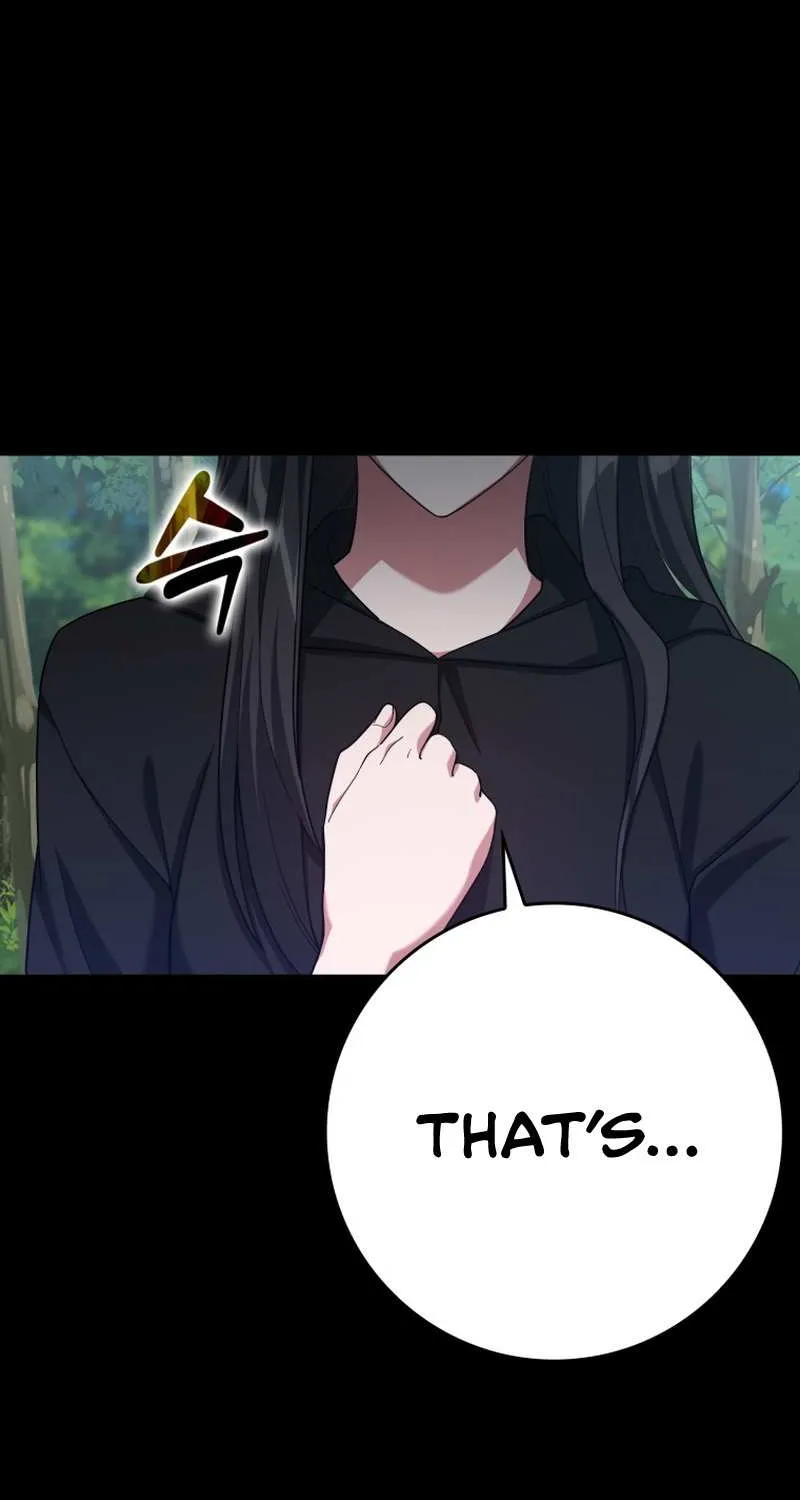 Max Level Player Chapter 43 page 6 - 