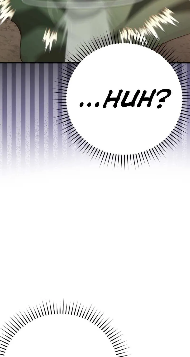 Max Level Player Chapter 43 page 71 - 
