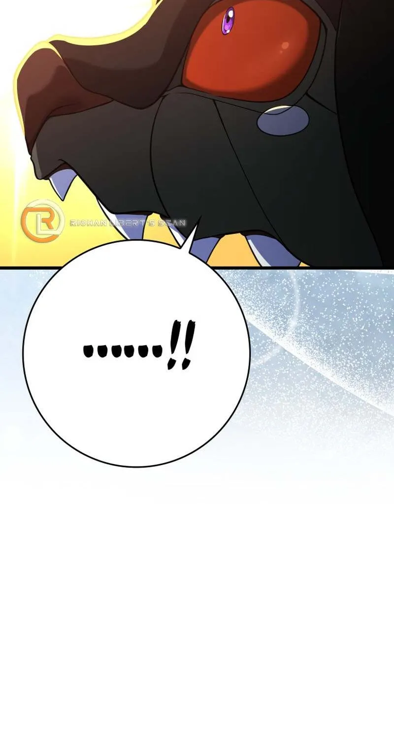 Max Level Player Chapter 45 page 27 - 