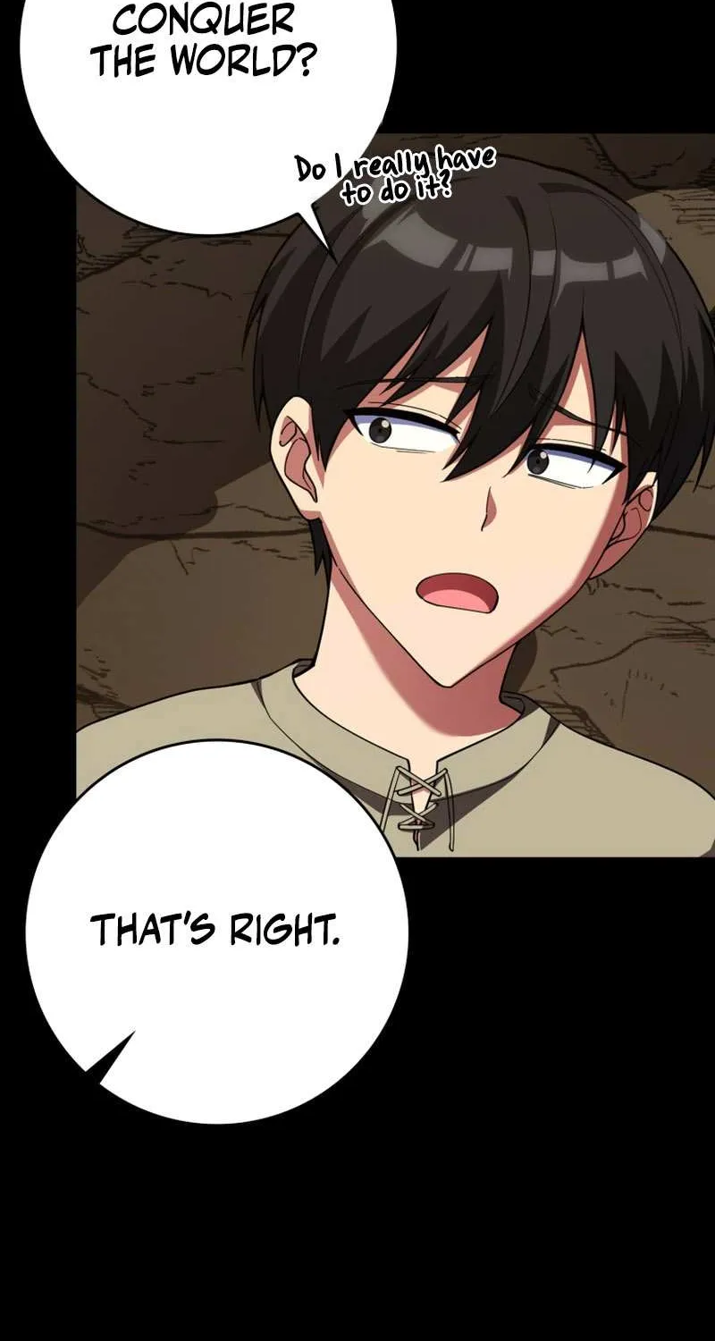 Max Level Player Chapter 47 page 5 - 