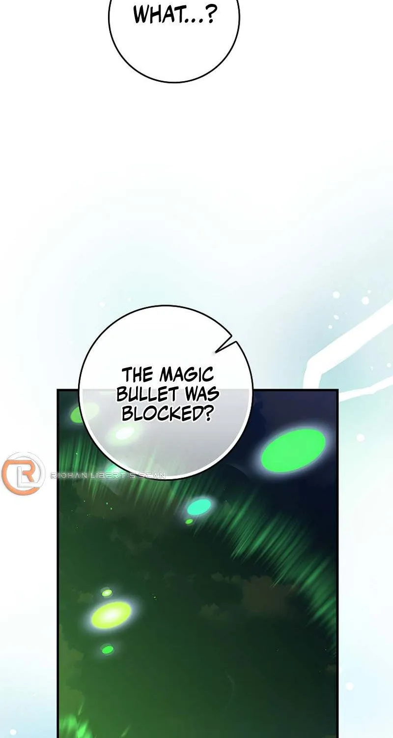 Max Level Player Chapter 56 page 91 - 