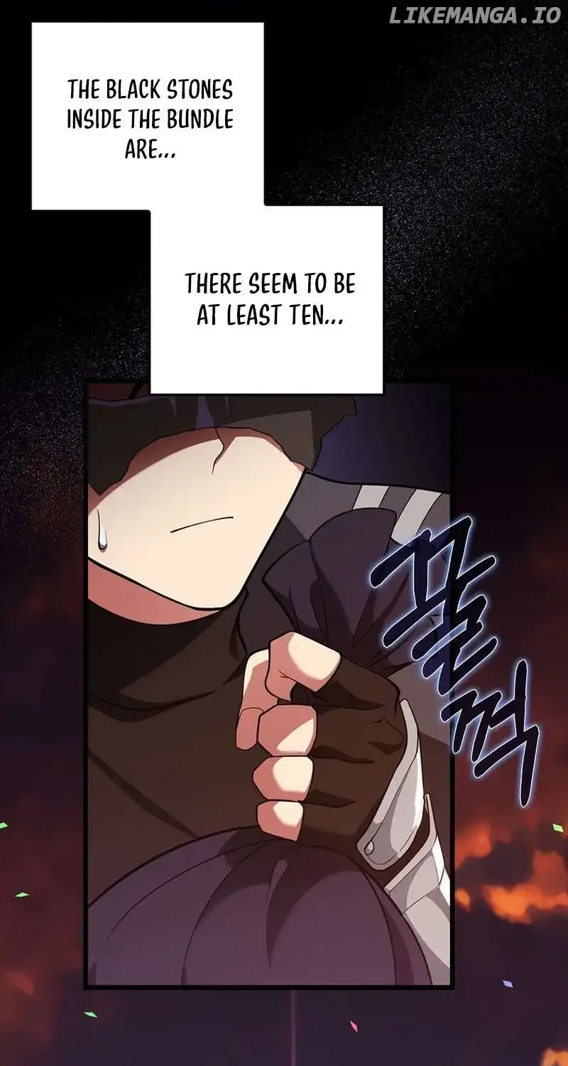 Max Level Player Chapter 64 page 13 - 