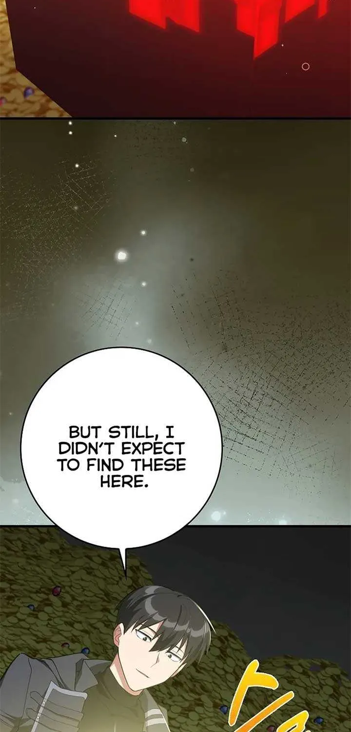 Max Level Player Chapter 75 page 82 - 