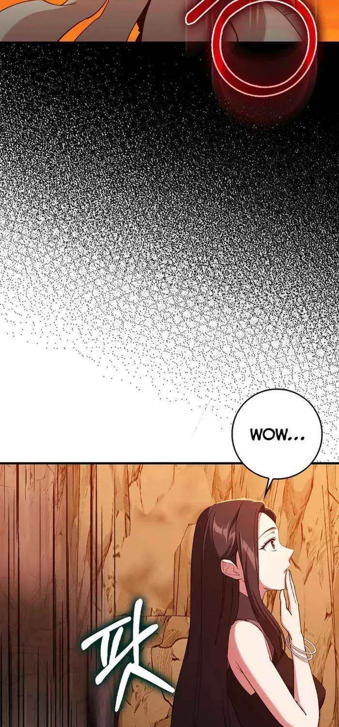 Max Level Player Chapter 93 page 61 - 