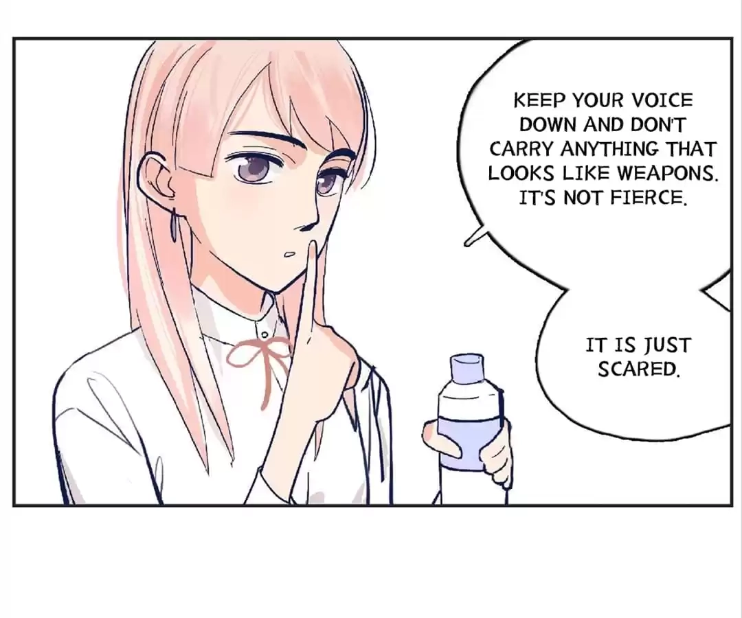 Read May Summer Never End chapter 2 image 50 on Lezhin