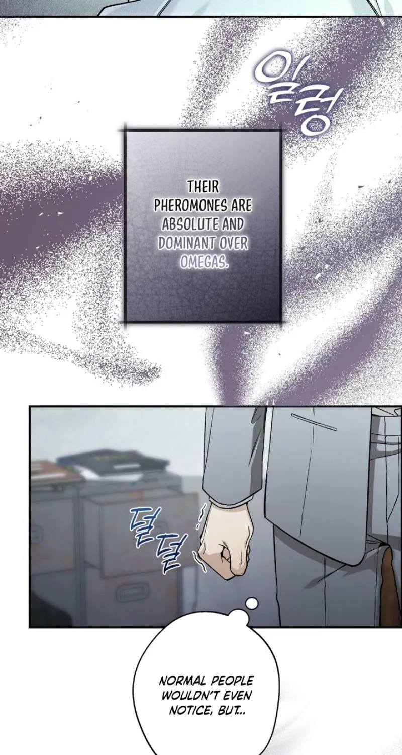 Read MBB chapter 2 image 5 on Lezhin
