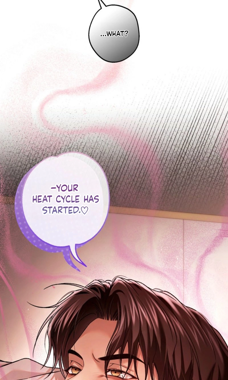 Read MBB chapter 31 image 17 on Lezhin