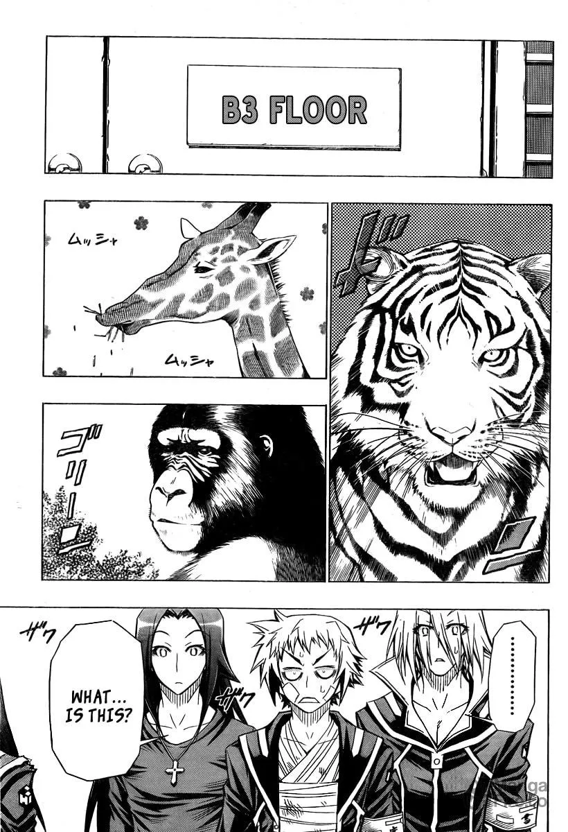Read Medaka Box chapter 37 image 8 on Lezhin