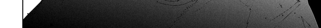 Read Medalist chapter 22 image 73 on Lezhin