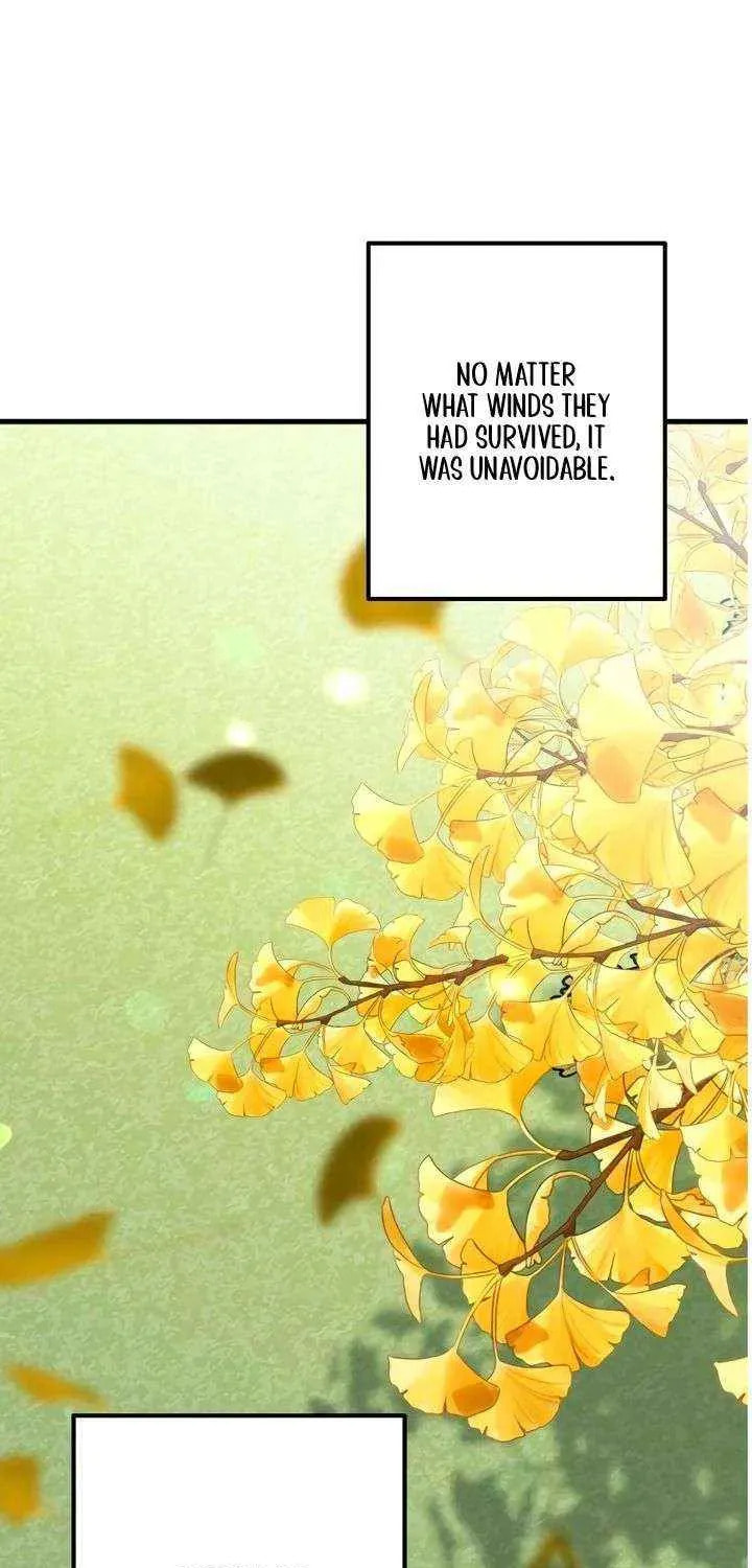 Meet in the Middle Chapter 103 page 103 - 