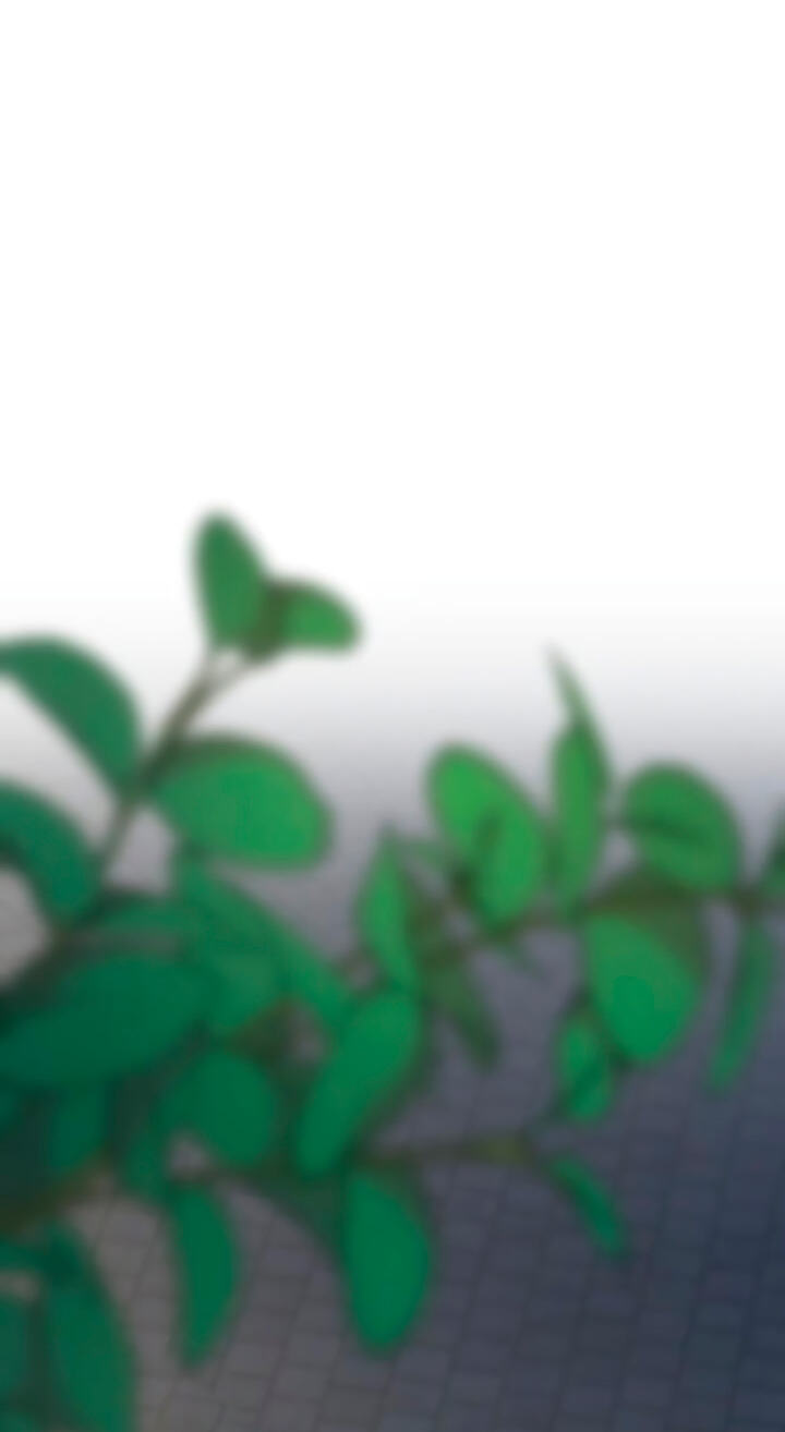 Meet in the Middle Chapter 128 page 25 - 