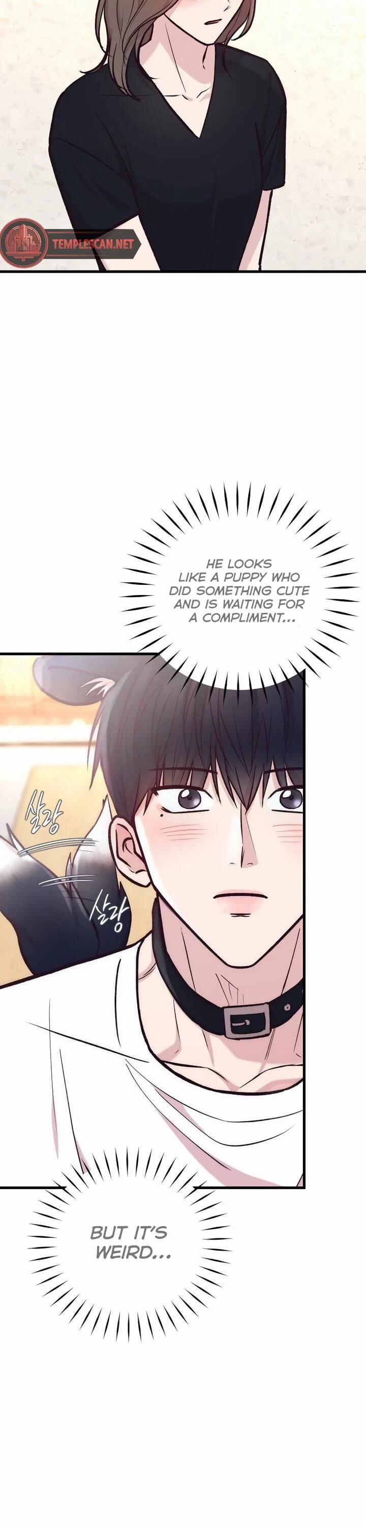 Meet in the Middle Chapter 43 page 12 - 