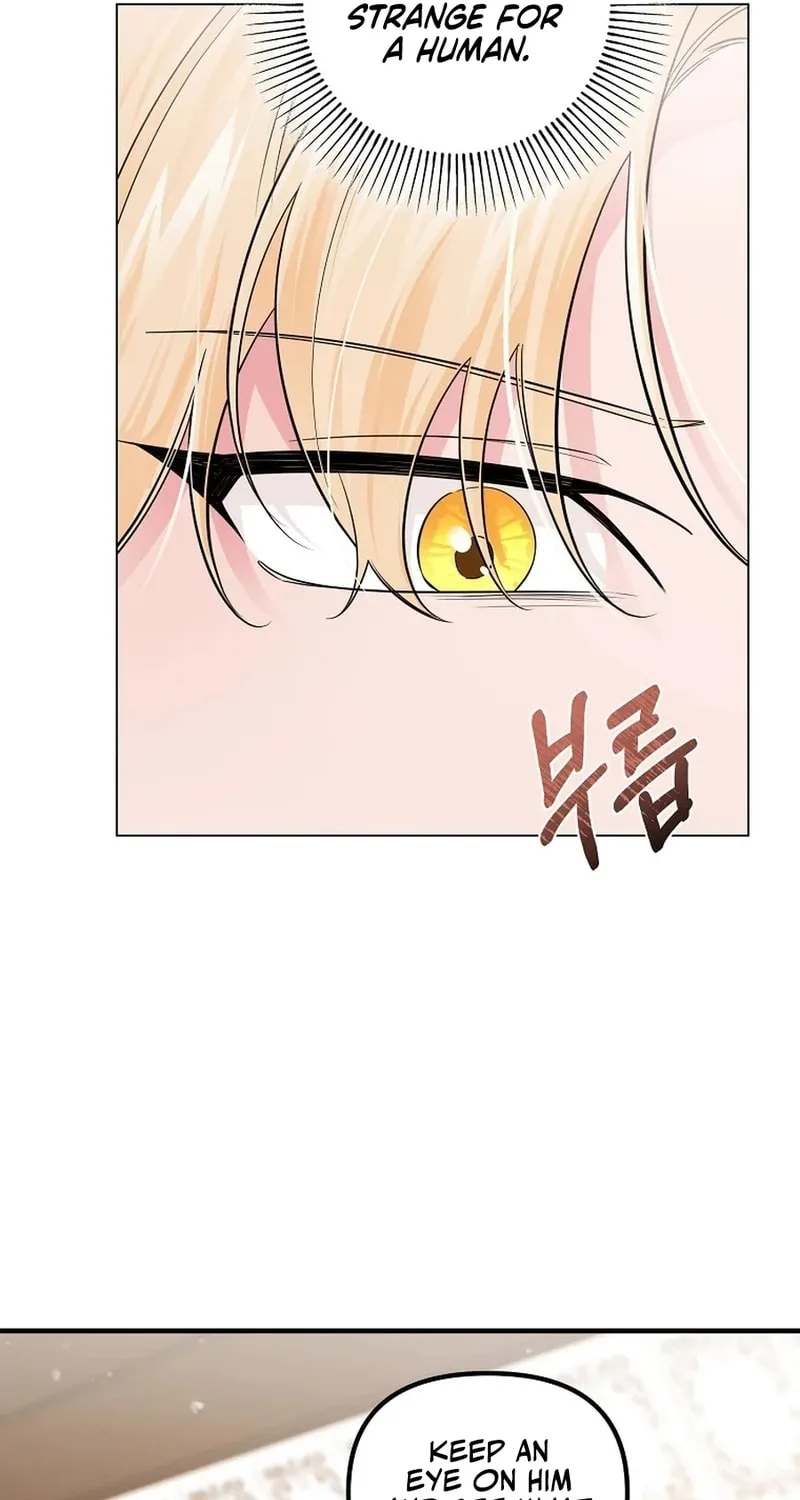 Read Melin