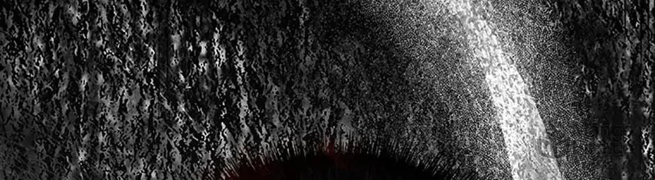 Melody: The Crazy Flower Blooms Chapter 130 page 216 - 