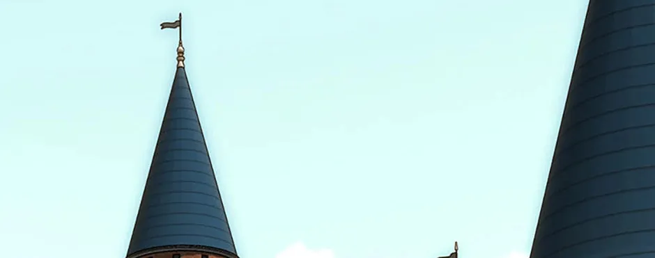 Melody: The Crazy Flower Blooms Chapter 140 page 62 - 