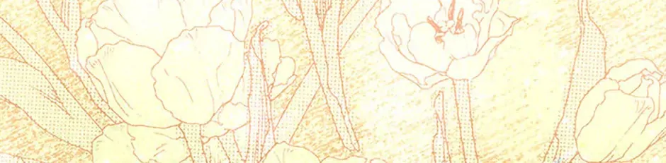 Melody: The Crazy Flower Blooms Chapter 144 page 135 - 