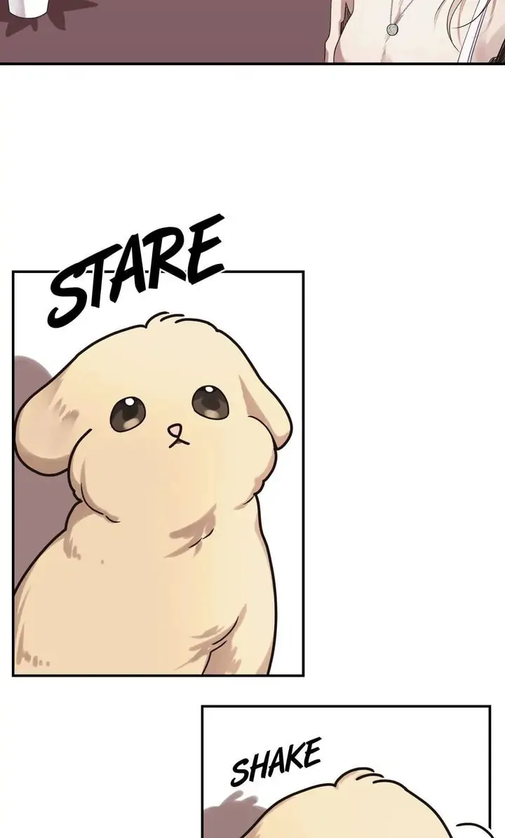 Memento Bori Chapter 3 page 29 - 