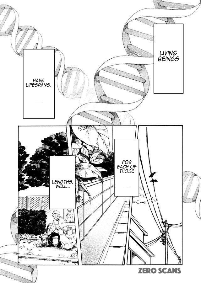 Read Memento Memori chapter 1 image 1 on Lezhin
