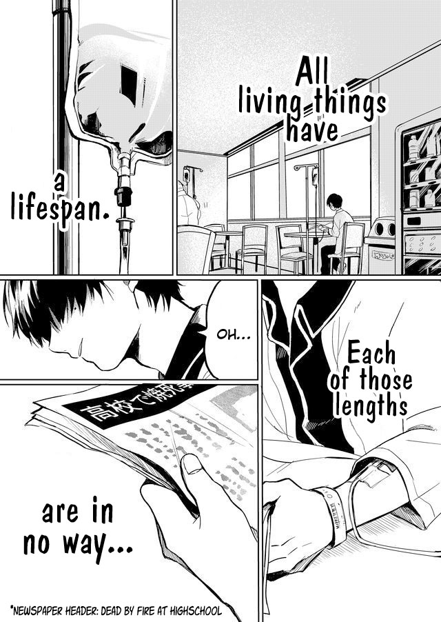 Read Memento Memori chapter 11 image 1 on Lezhin