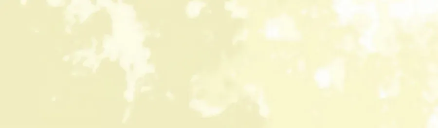 Memoir Of The King Of War Chapter 209 page 71 - 