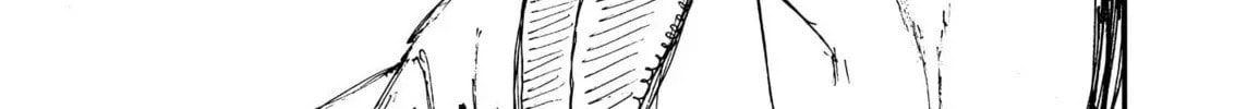 Read Menkui chapter 16 image 33 on Lezhin