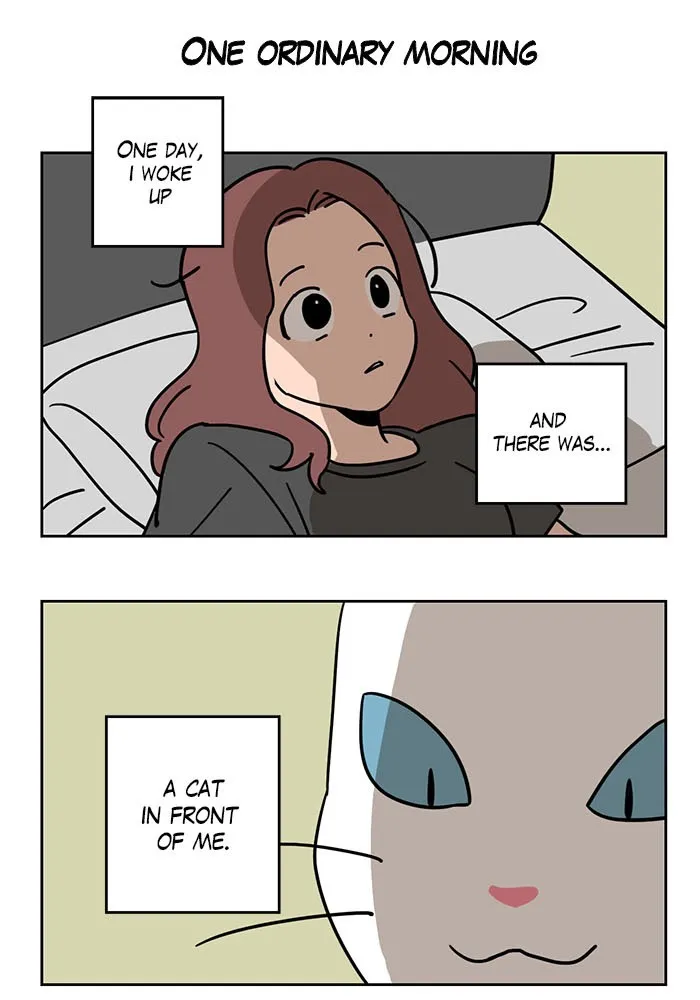 Read Meow Man chapter 1 image 1 on Lezhin