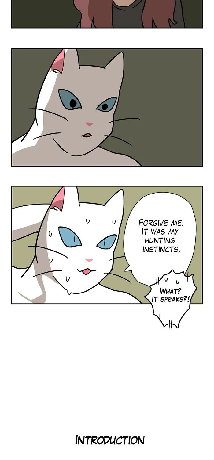 Read Meow Man chapter 1 image 10 on Lezhin