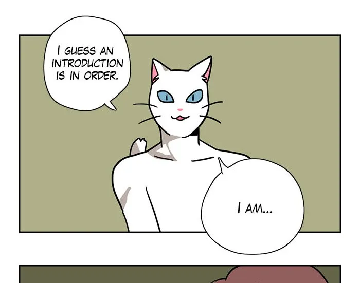 Read Meow Man chapter 1 image 11 on Lezhin