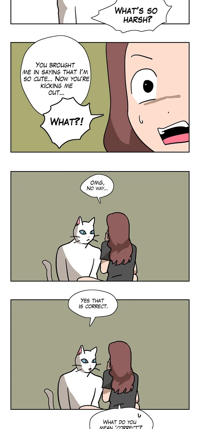 Read Meow Man chapter 1 image 14 on Lezhin