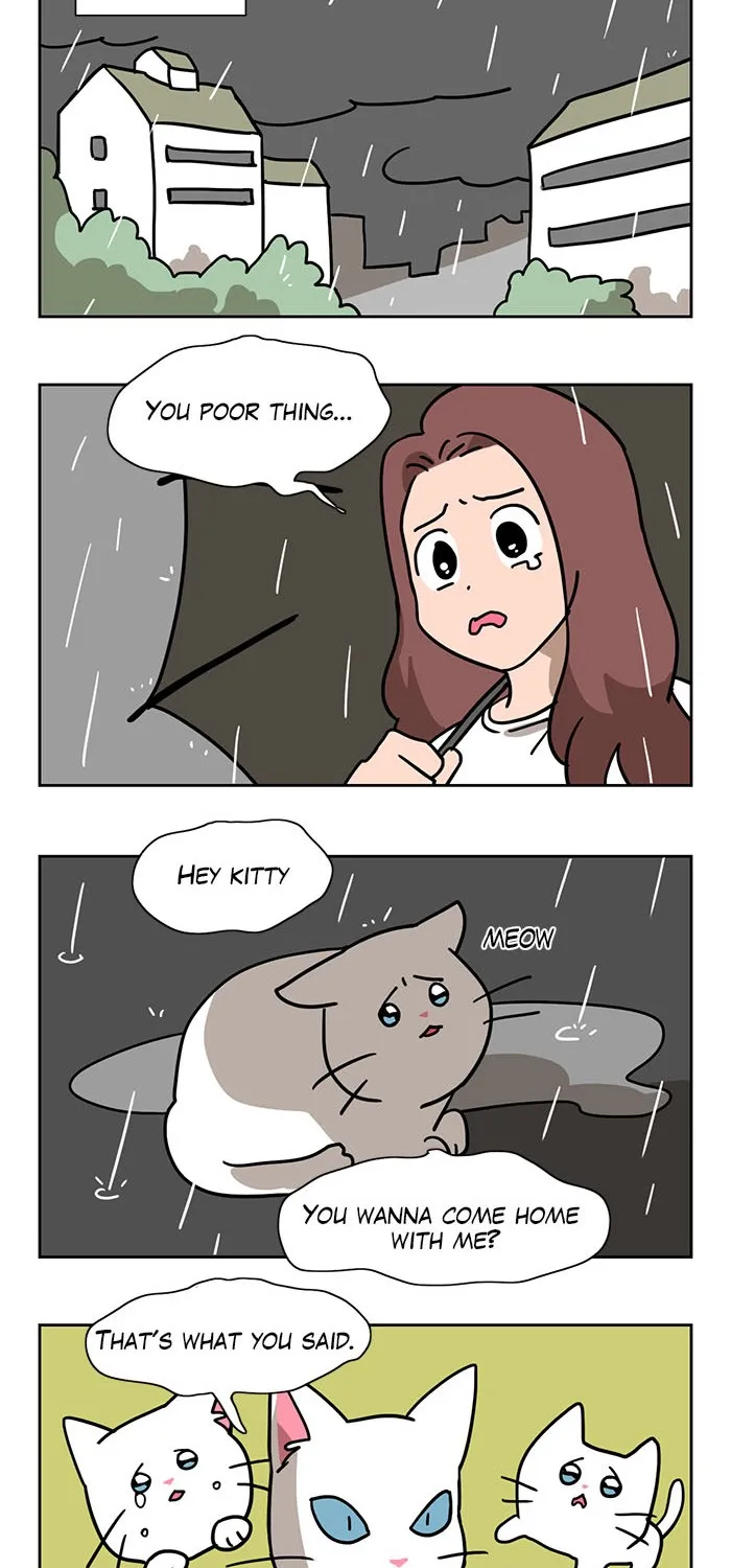 Read Meow Man chapter 1 image 16 on Lezhin