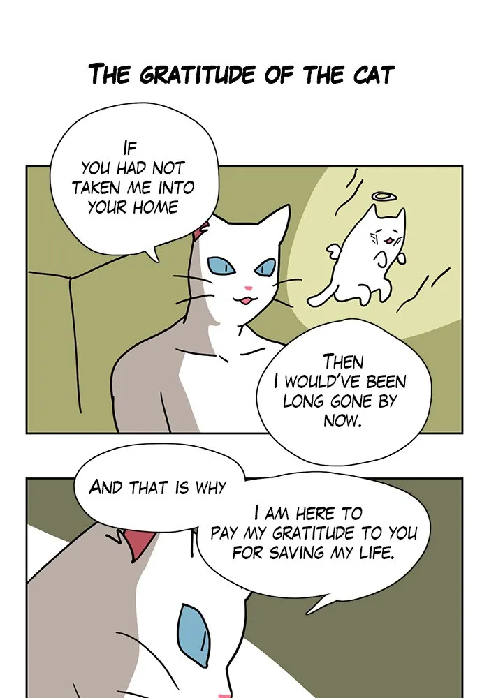 Read Meow Man chapter 1 image 18 on Lezhin