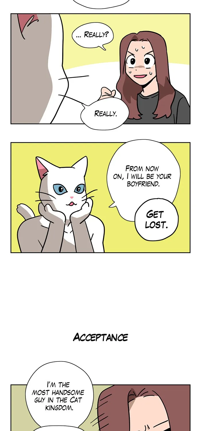 Read Meow Man chapter 1 image 26 on Lezhin