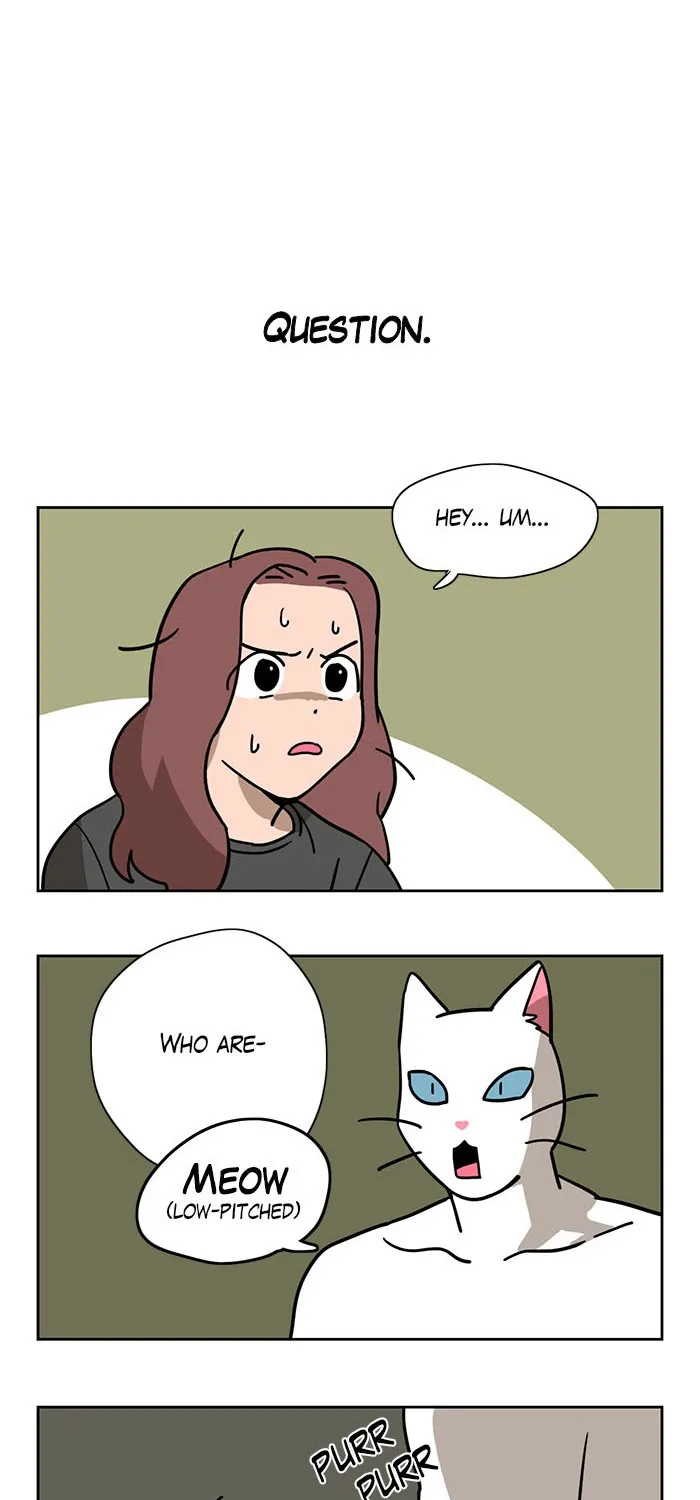 Read Meow Man chapter 1 image 4 on Lezhin