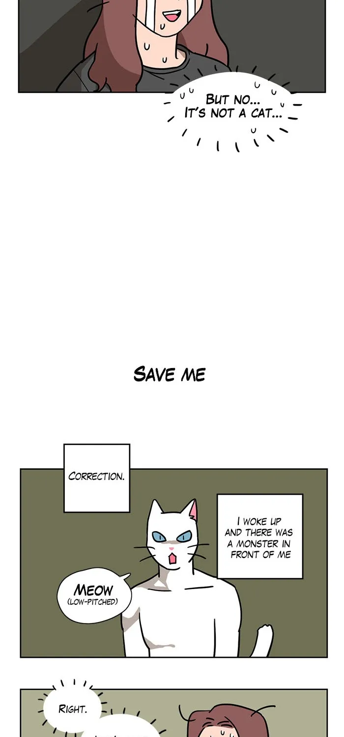 Read Meow Man chapter 1 image 6 on Lezhin