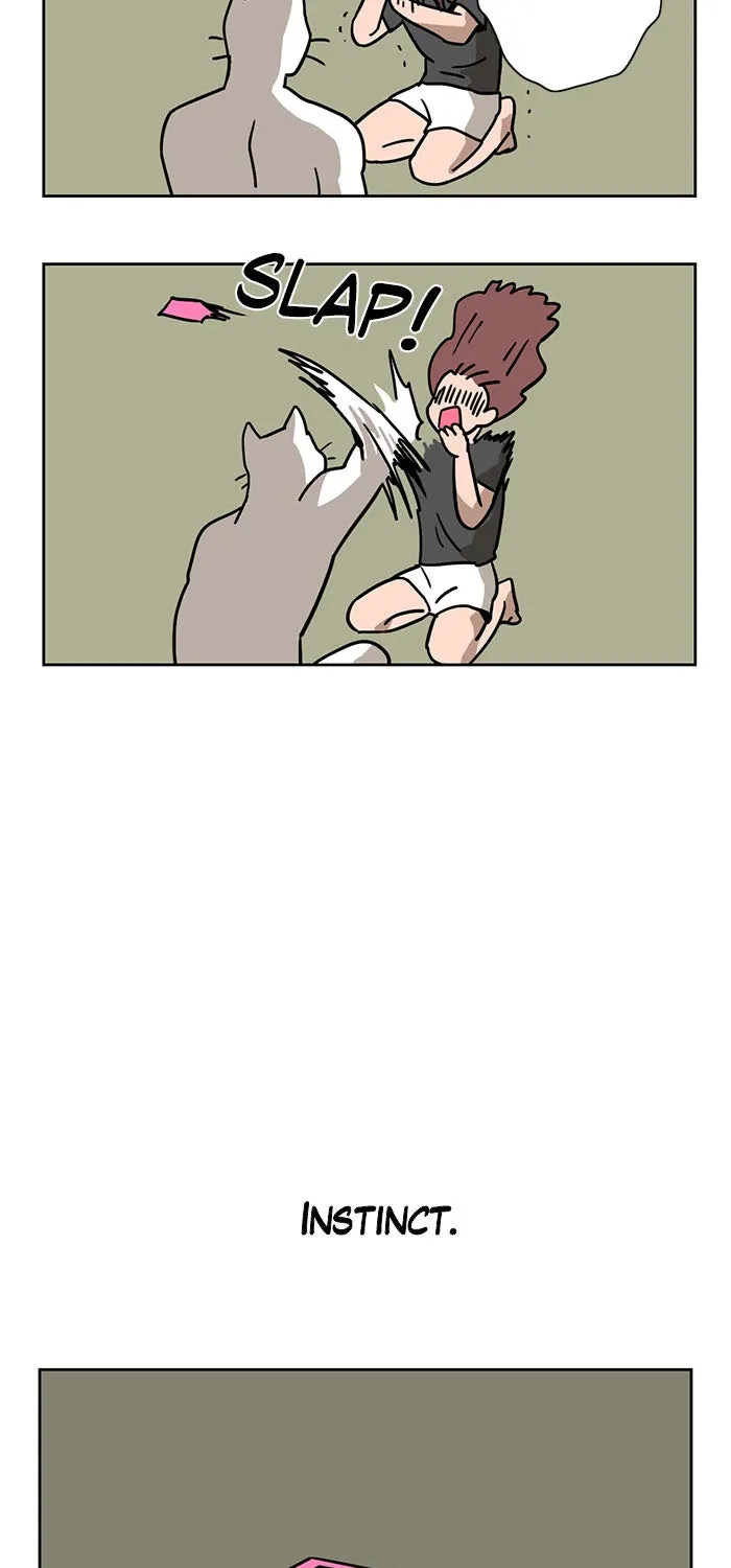 Read Meow Man chapter 1 image 8 on Lezhin