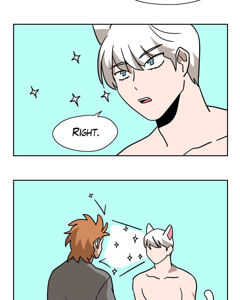 Read Meow Man chapter 10 image 2 on Lezhin