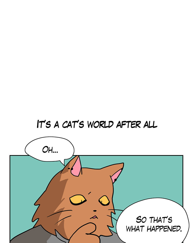 Read Meow Man chapter 10 image 4 on Lezhin