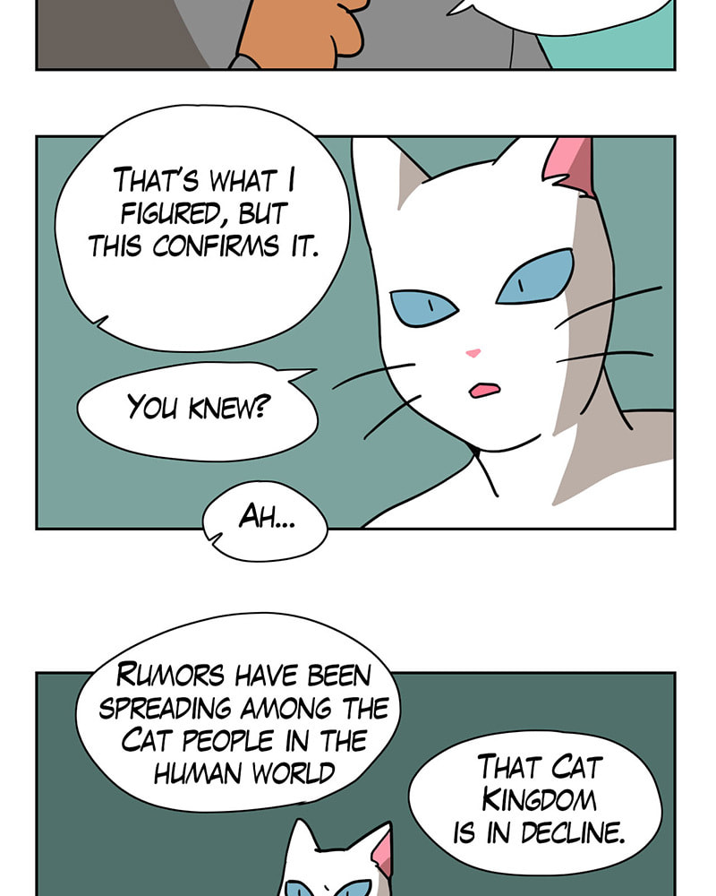 Read Meow Man chapter 10 image 5 on Lezhin