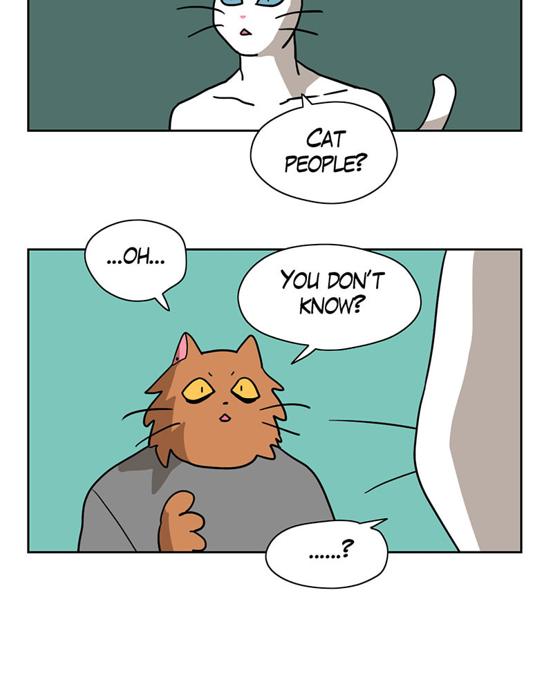 Read Meow Man chapter 10 image 6 on Lezhin