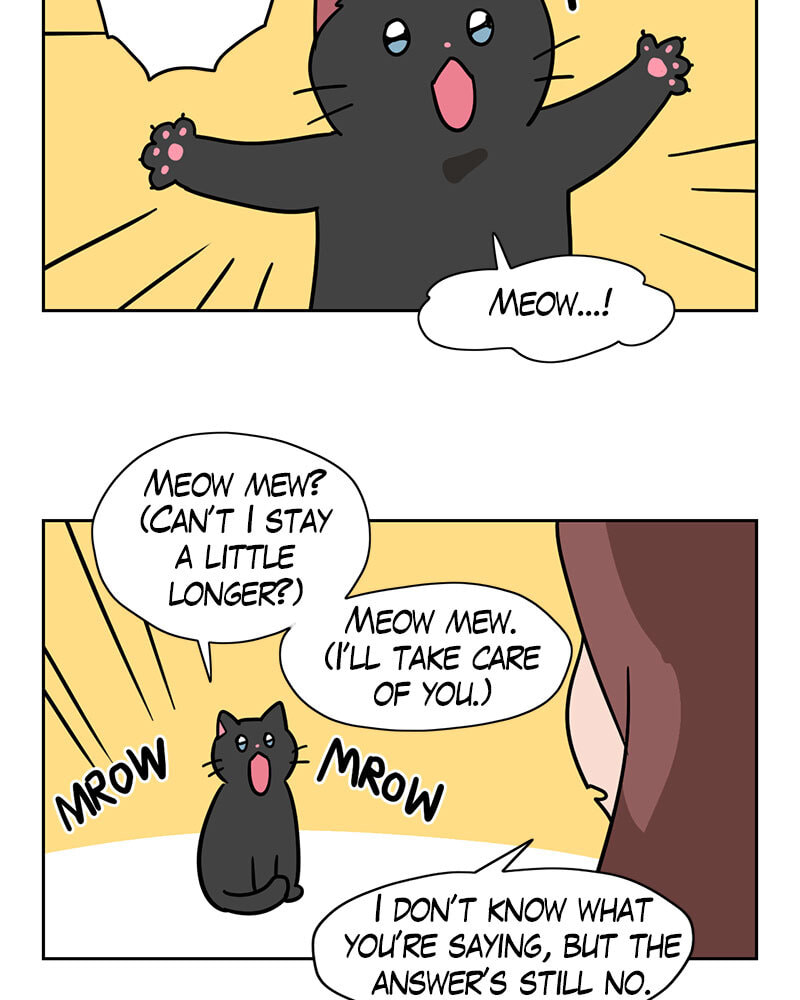 Read Meow Man chapter 101 image 10 on Lezhin