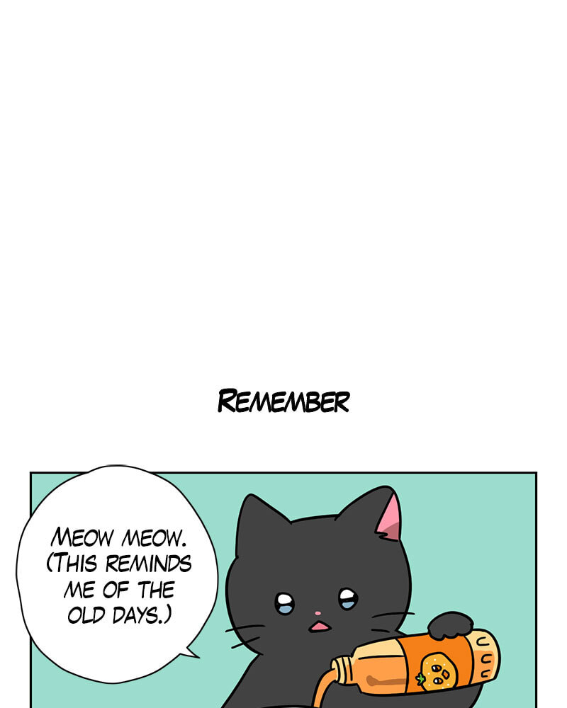 Read Meow Man chapter 101 image 13 on Lezhin