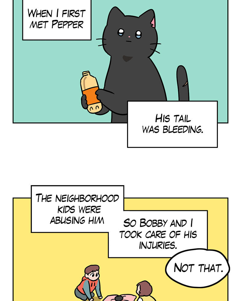 Read Meow Man chapter 101 image 15 on Lezhin