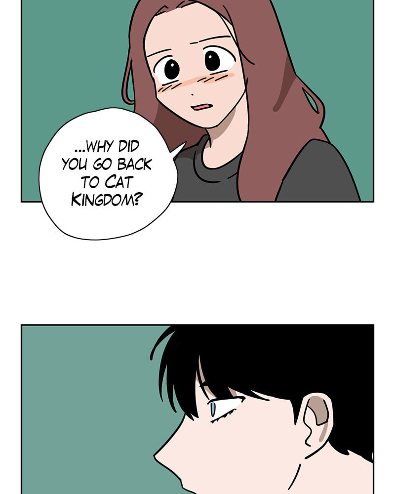 Read Meow Man chapter 101 image 26 on Lezhin