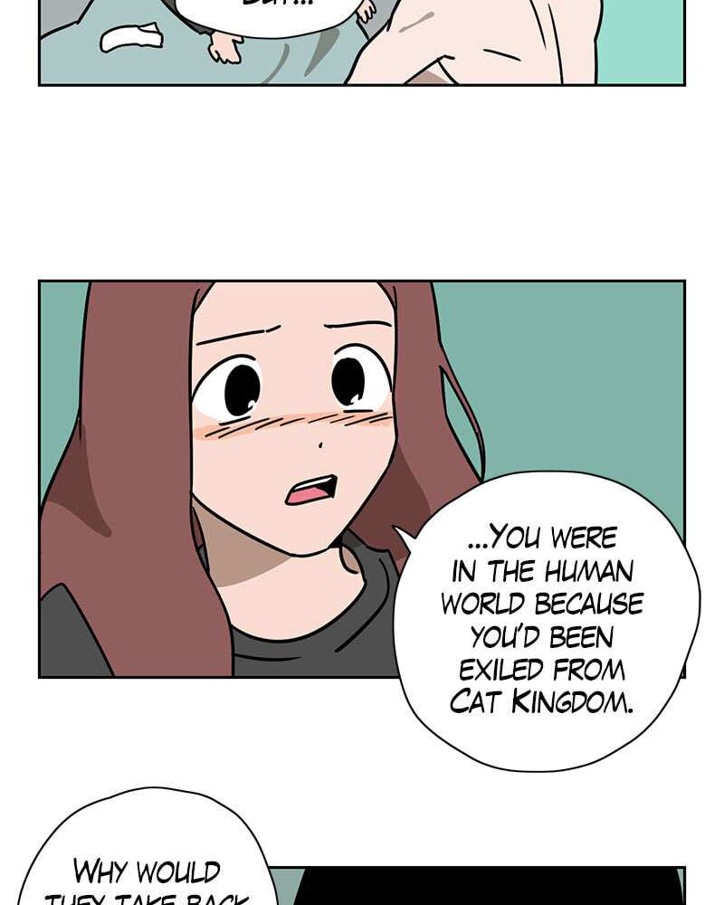 Read Meow Man chapter 101 image 32 on Lezhin