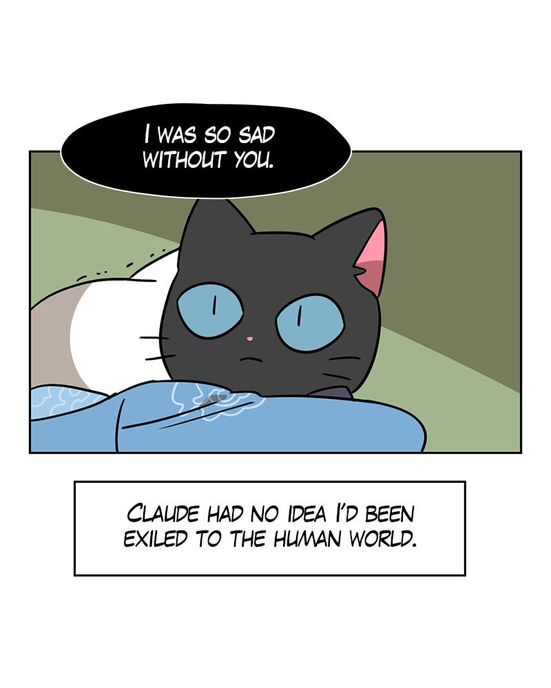Read Meow Man chapter 102 image 4 on Lezhin