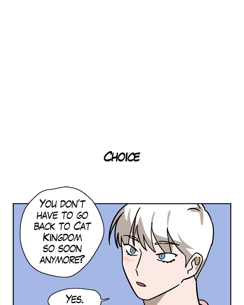 Read Meow Man chapter 103 image 34 on Lezhin