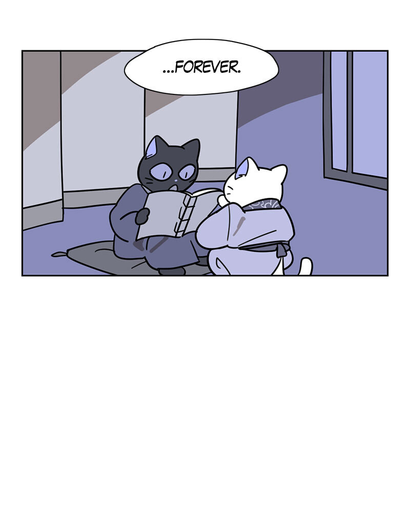 Read Meow Man chapter 105 image 18 on Lezhin